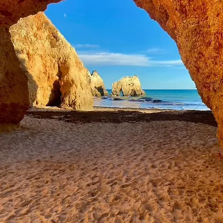 Blue Skies 1&2 فيلة *