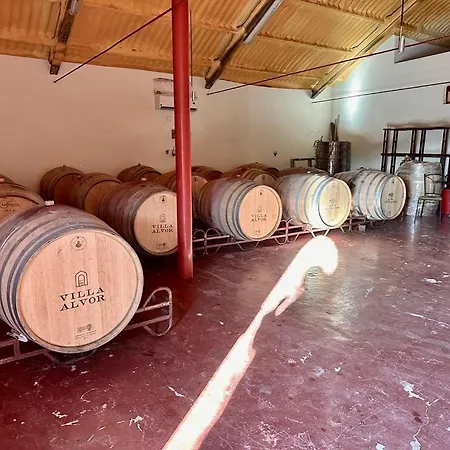 Blue Skies 1&2 فيلة