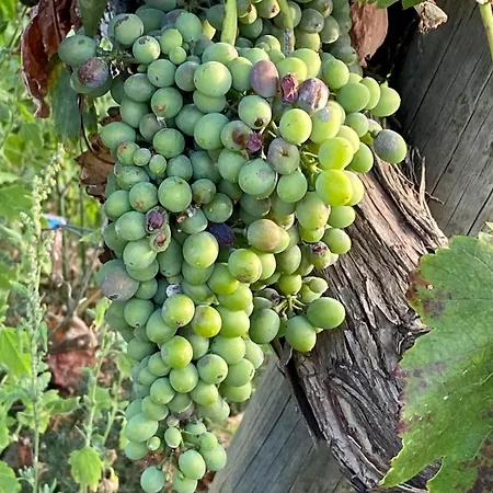 فيلة Blue Skies 1&2 Mexilhoeira Grande