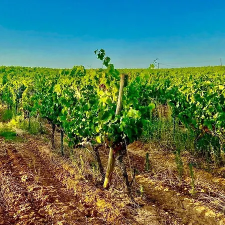 Blue Skies 1&2 * Mexilhoeira Grande