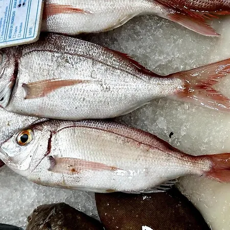 Blue Skies 1&2 فيلة Mexilhoeira Grande