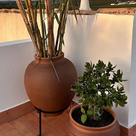 فيلة Blue Skies 1&2 *