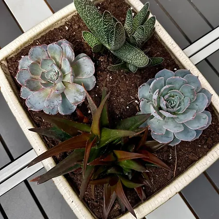 Blue Skies 1&2 Mexilhoeira Grande