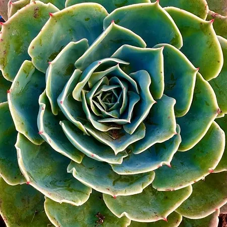 Blue Skies 1&2 فيلة Mexilhoeira Grande