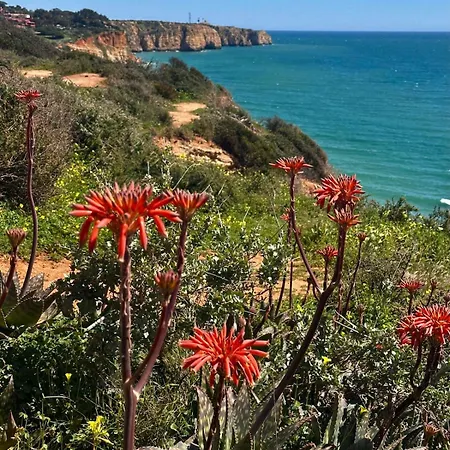 Villa Blue Skies 1&2